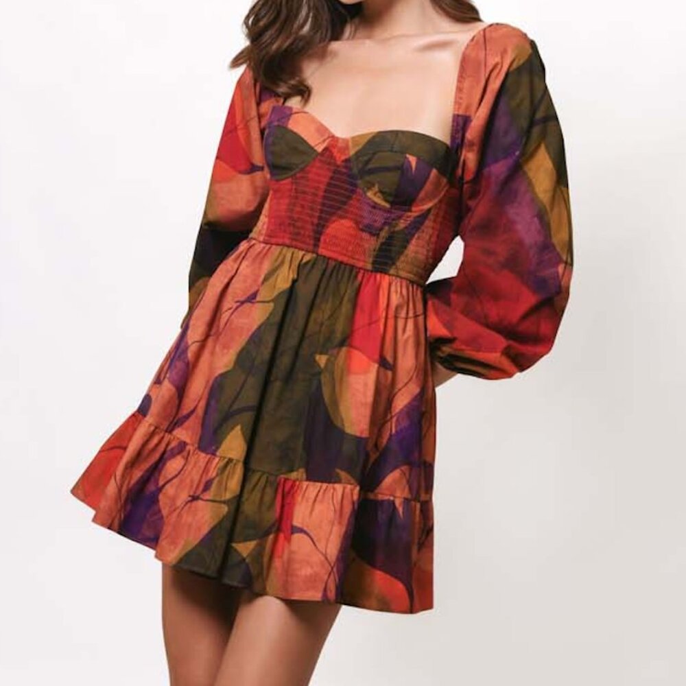 NWT Hutch Cisco Multicolor Floral Print Long Sleeve Smocked Dress - sz M